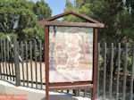 Petaloudes - Valley of Butterflies Rhodes - Dodecanese Greece photo 8 - Photo JustGreece.com