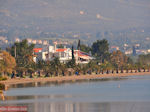 JustGreece.com beach with palmbomen in Eretria | Euboea Greece | Greece  - Foto van JustGreece.com