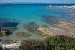 JustGreece.com Vourvourou Halkidiki - JustGreece.com photo 12 - Foto van JustGreece.com