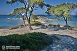 JustGreece.com Vourvourou Halkidiki - JustGreece.com photo 14 - Foto van JustGreece.com