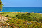 JustGreece.com beach Mesakti Armenistis Ikaria | Greece | Photo 29 - Foto van JustGreece.com