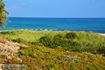 beach Mesakti Armenistis Ikaria | Greece | Photo 29 - Photo JustGreece.com