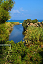 JustGreece.com Near Mesakti Armenistis Ikaria | Gialiskari Ikaria | Photo 5 - Foto van JustGreece.com