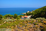 JustGreece.com Avlaki Ikaria | Greece | Photo 3 - Foto van JustGreece.com