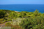 JustGreece.com Avlaki Ikaria | Greece | Photo 4 - Foto van JustGreece.com