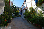 JustGreece.com Evdilos Ikaria | Greece | Photo 43 - Foto van JustGreece.com