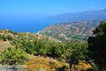 JustGreece.com Kampos Ikaria | Greece Photo 1 - Foto van JustGreece.com