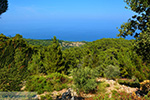 JustGreece.com Moni Theoktistis near Kampos Ikaria | Avlaki Ikaria Photo 7 - Foto van JustGreece.com