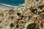Nas Ikaria | Greece | Photo 19 - Photo JustGreece.com