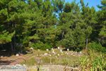 Mountainous Raches Ikaria | Greece | Photo 22 - Photo JustGreece.com