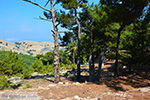 Mountainous Raches Ikaria | Greece | Photo 26 - Photo JustGreece.com