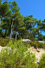 Mountainous Raches Ikaria | Greece | Photo 27 - Photo JustGreece.com