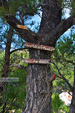 Mountainous Raches Ikaria | Greece | Photo 37 - Photo JustGreece.com