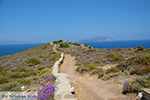 JustGreece.com Plakotos Ios - Island of Ios - Cyclades Greece Photo 249 - Foto van JustGreece.com