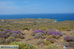 JustGreece.com Plakotos Ios - Island of Ios - Cyclades Greece Photo 251 - Foto van JustGreece.com