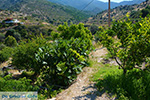 JustGreece.com Psathi Ios - Island of Ios - Cyclades Greece Photo 322 - Foto van JustGreece.com