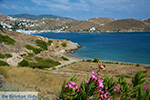 JustGreece.com Tzamaria beach Ios town - Island of Ios - Cyclades Greece Photo 442 - Foto van JustGreece.com