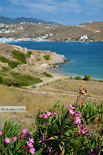 JustGreece.com Tzamaria beach Ios town - Island of Ios - Cyclades Greece Photo 443 - Foto van JustGreece.com