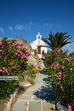 Ios town - Island of Ios - Cyclades Greece Photo 475 - Photo JustGreece.com