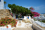 JustGreece.com Ios town - Island of Ios - Cyclades Greece Photo 493 - Foto van JustGreece.com