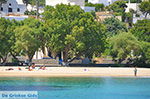 Island of Iraklia | Cyclades | Greece  | nr 30 - Photo JustGreece.com