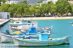 Island of Iraklia | Cyclades | Greece  | nr 54 - Photo JustGreece.com