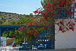 Island of Iraklia | Cyclades | Greece  | nr 61 - Photo JustGreece.com