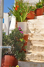 Island of Iraklia | Cyclades | Greece  | nr 86 - Photo JustGreece.com
