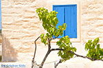 Island of Iraklia | Cyclades | Greece  | nr 130 - Photo JustGreece.com