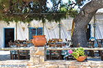 Island of Iraklia | Cyclades | Greece  | nr 137 - Photo JustGreece.com