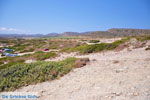 JustGreece.com Itanos and Erimoupoli | Lassithi Crete | Photo 18 - Foto van JustGreece.com