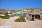 Itanos and Erimoupoli | Lassithi Crete | Photo 21 - Photo JustGreece.com