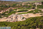 Itanos and Erimoupoli | Lassithi Crete | Photo 33 - Photo JustGreece.com