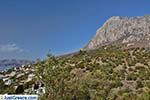 JustGreece.com Myrties - Island of Kalymnos -  Photo 3 - Foto van JustGreece.com