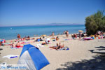 Chanioti | Kassandra Halkidiki | Greece  Photo 10 - Photo JustGreece.com