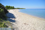 Pefkochori | Kassandra Halkidiki | Greece  Photo 25 - Photo JustGreece.com