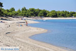 Pefkochori | Kassandra Halkidiki | Greece  Photo 26 - Photo JustGreece.com