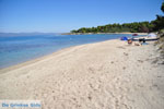 JustGreece.com Golden Beach near Pefkochori | Kassandra Halkidiki | Greece  Photo 1 - Foto van JustGreece.com