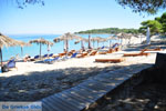 Golden Beach near Pefkochori | Kassandra Halkidiki | Greece  Photo 3 - Photo JustGreece.com