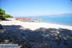 JustGreece.com Golden Beach near Pefkochori | Kassandra Halkidiki | Greece  Photo 5 - Foto van JustGreece.com