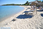 Golden Beach near Pefkochori | Kassandra Halkidiki | Greece  Photo 6 - Photo JustGreece.com