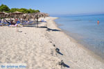 Golden Beach near Pefkochori | Kassandra Halkidiki | Greece  Photo 9 - Photo JustGreece.com