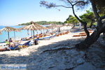 JustGreece.com Chrousso beach near Paliouri | Kassandra Halkidiki | Greece  Photo 1 - Foto van JustGreece.com