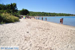 JustGreece.com Chrousso beach near Paliouri | Kassandra Halkidiki | Greece  Photo 3 - Foto van JustGreece.com