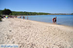 JustGreece.com Chrousso beach near Paliouri | Kassandra Halkidiki | Greece  Photo 5 - Foto van JustGreece.com