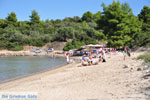 Chrousso beach near Paliouri | Kassandra Halkidiki | Greece  Photo 6 - Photo JustGreece.com