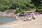 JustGreece.com Chrousso beach near Paliouri | Kassandra Halkidiki | Greece  Photo 7 - Foto van JustGreece.com