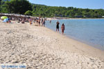 Chrousso beach near Paliouri | Kassandra Halkidiki | Greece  Photo 9 - Photo JustGreece.com