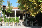 JustGreece.com Afytos (Athytos) | Kassandra Halkidiki | Greece  Photo 31 - Foto van JustGreece.com