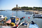 JustGreece.com Nea Fokea | Kassandra Halkidiki | Greece  Photo 21 - Foto van JustGreece.com